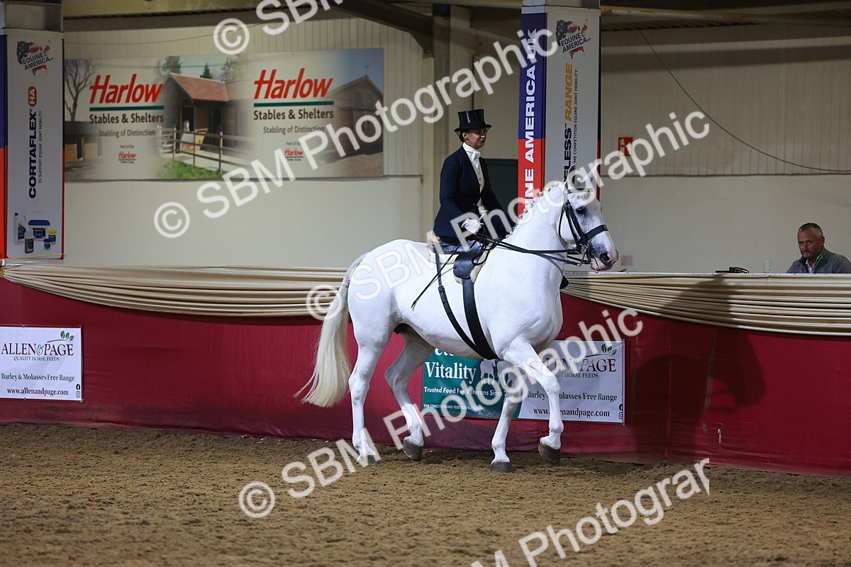 SBM_15015 - Class N - Side Saddle Champ