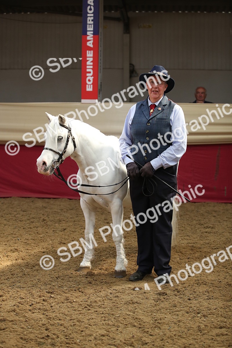 SBM_05410 - Class 8R - Regional IH Veteran