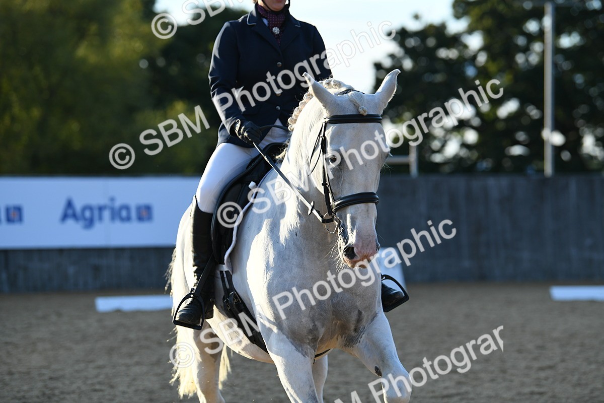 SBM_30903 - D16 - Small Tour Championship - Novice 28