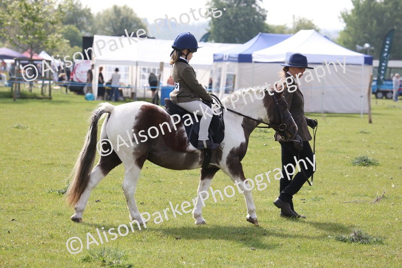 20260426-2589 - Class 31 - Leading Rein