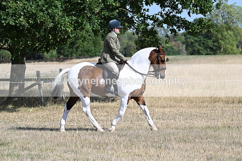 WJ7_2794 - Class 8 Ridden Tack & Turnout