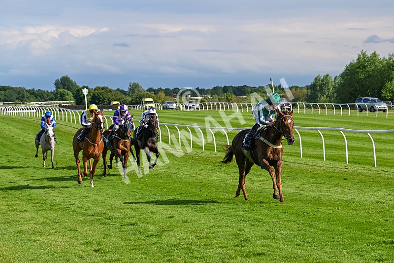 180624-Race 6-Infinite Honour-0759 - Race 6