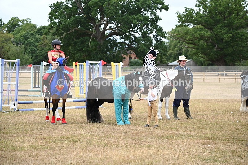 WJ6_9188 - Class 11 Fancy Dress