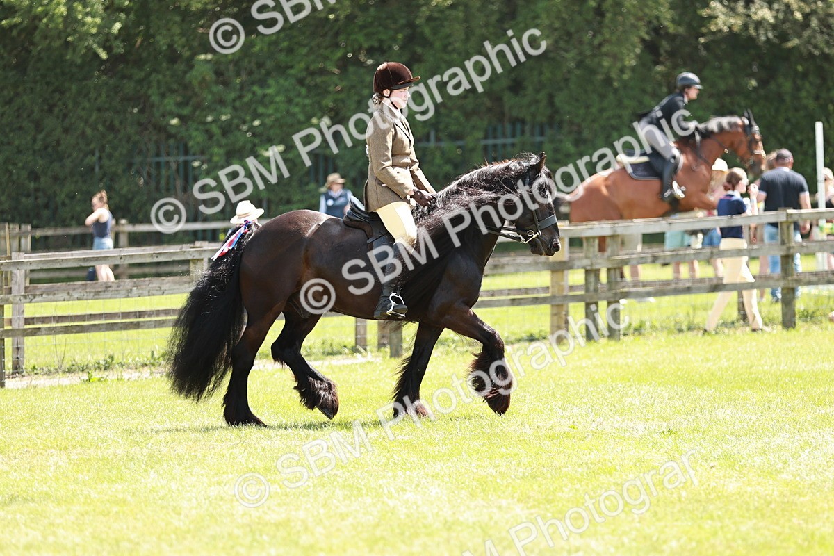 SBM_07032 - Class 26-30 - Mountain and Moorland Ridden