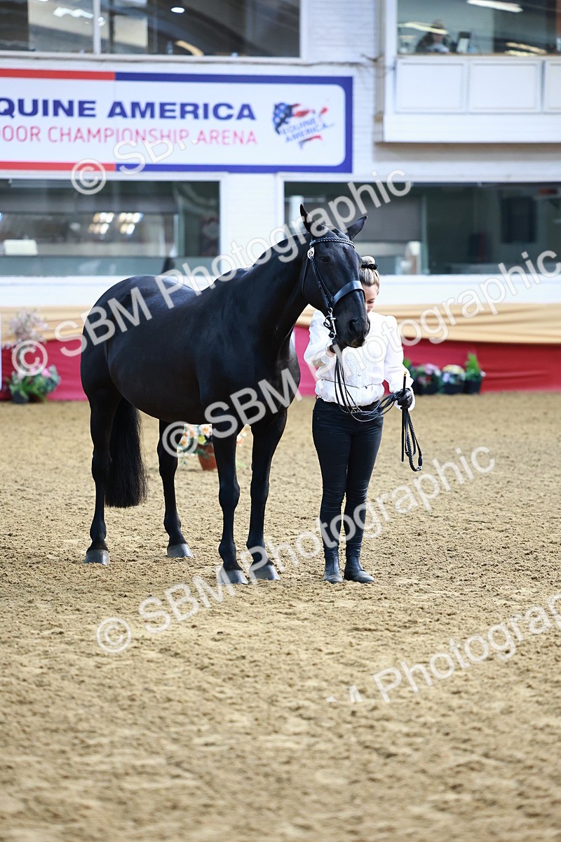 SBM_21676 - Class 901 - Supreme Final - IH  Diamond