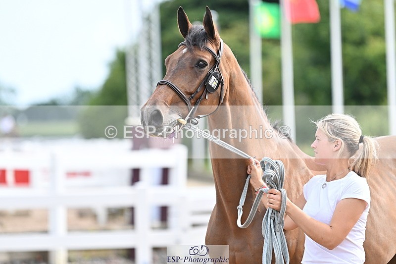 240717A-165607-03550 - Trot Up 4pm to 5pm