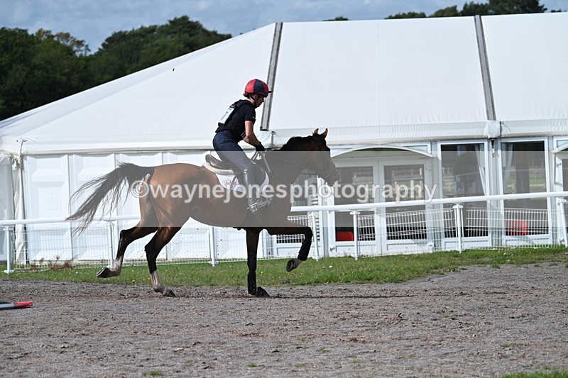 WJ7_2068 - Time 13:17 to 13:53