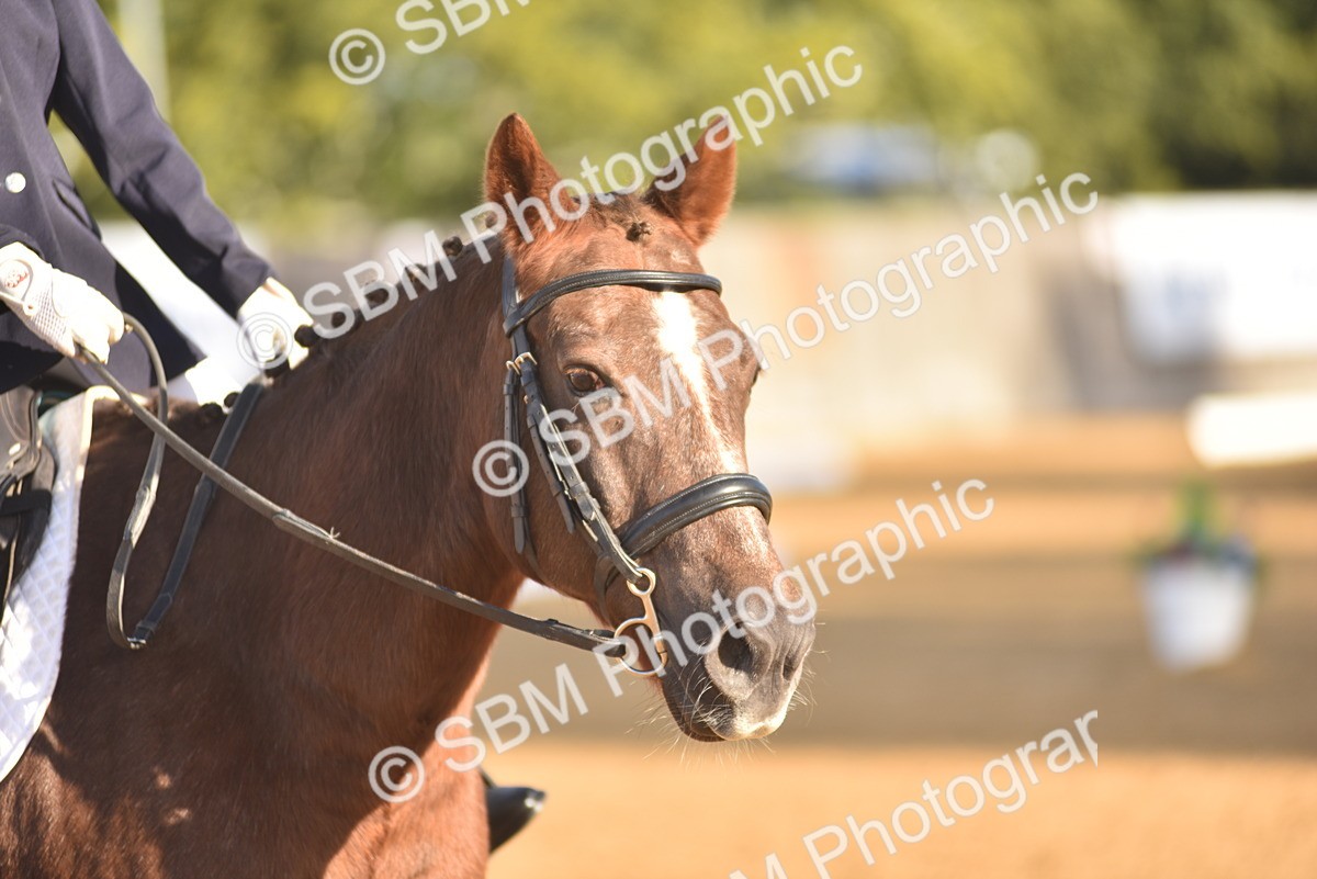 SBM_15710 - D4 - Small Tour Championship Intro 4