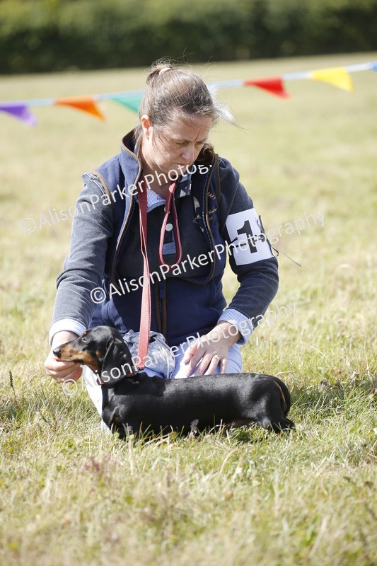 20250831-3794 - Dog Show