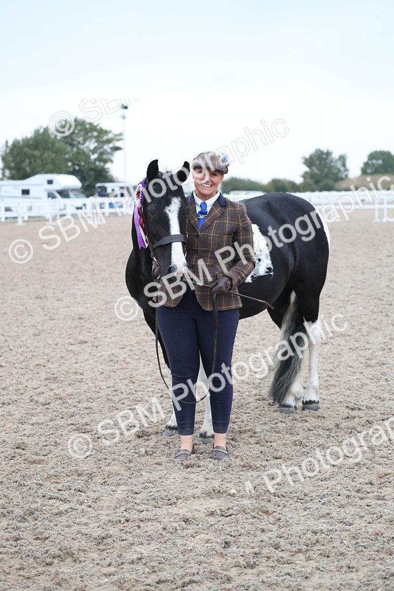 SBM_18423 - Class 318 IH Part bred Horse/Pony