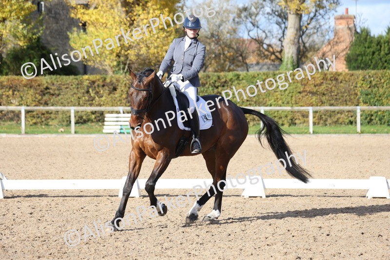 20251102-1063 - Class 5 - Elementary 5