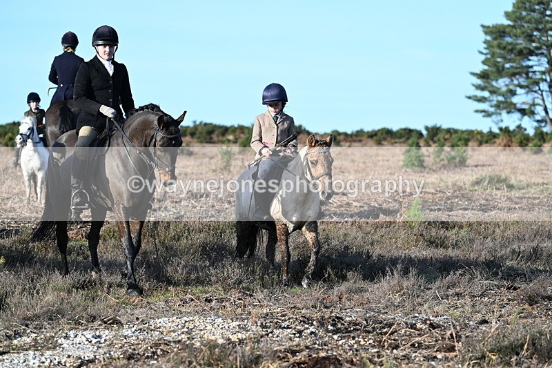 WJ7_7378 - Line 3 (no line 4 or 5)