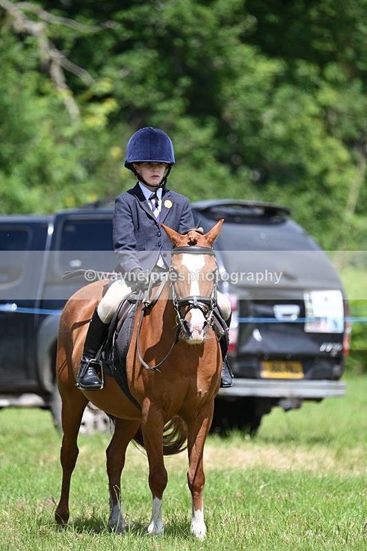 WJ7_1766 - Class 9 Pony Club Pony