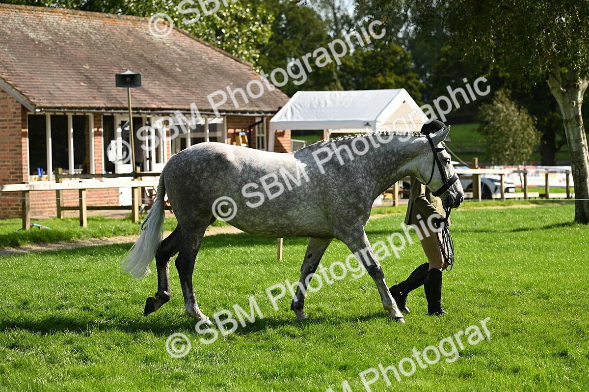 SBM_24947 - S5 - Novice & Newcomer In hand