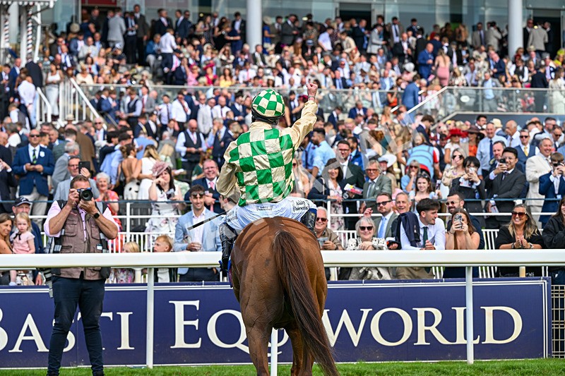 220826-Race 4-Daiquiri Bay-0683 - Race 4 15.35pm Sky Bet Ebor Handicap