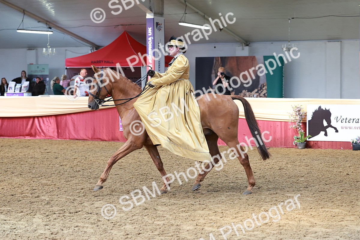 SBM_13558 - Class 105 - Ridden Costume - Side Saddle