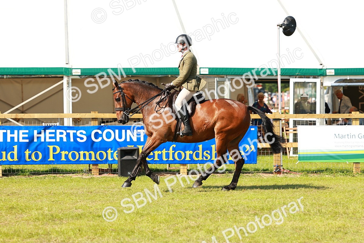 SBM_12068 - Class 66-69 - RIHS Ridden Hunters Inc Small Hunter