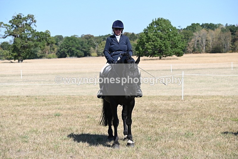 WJ6_8417 - Class 37a Best Loan Pony Ridden