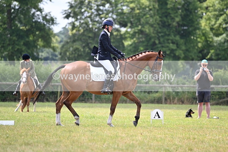 WJ6_6442 - Time 10:30 to 11:16