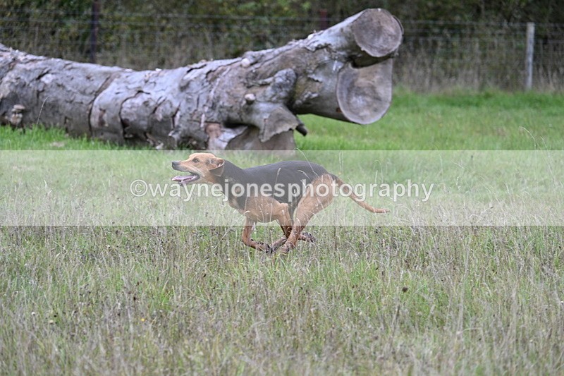 WJ7_3511 - Camera 1 Line 1