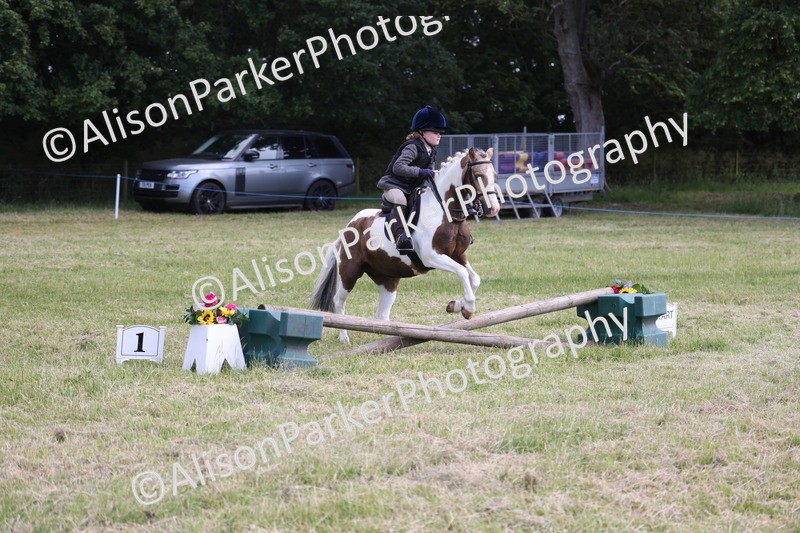 20260614-0674 - Class 20 - Beginners Working Hunter Pony