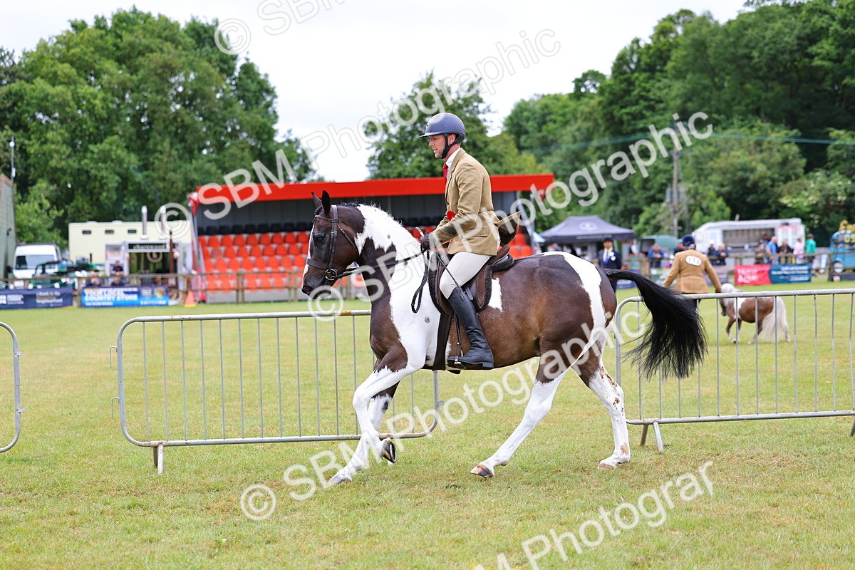 SBM_02638 - Class 9-11 Side Saddle including LIHS Rising Star Ladies Show Horse