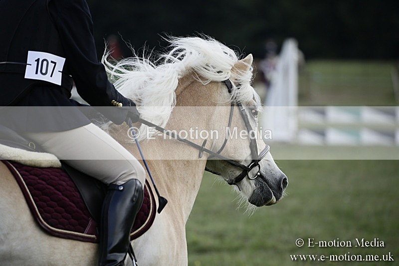 BVR090918 407 - BVRC Dressage and Show Jumping 09/09/18