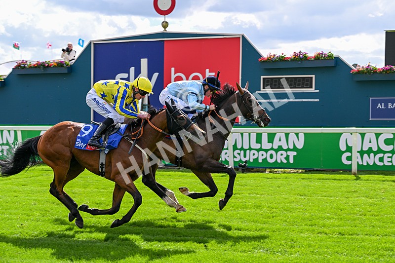 120626-Race 5-Antipodes-7848 - Race 5 16.10pm Sky Bet The World's Gone Football Handicap