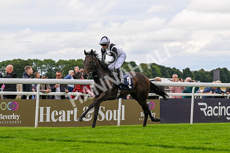 160724-Race 1-Coto De Caza-8245 - Race 1