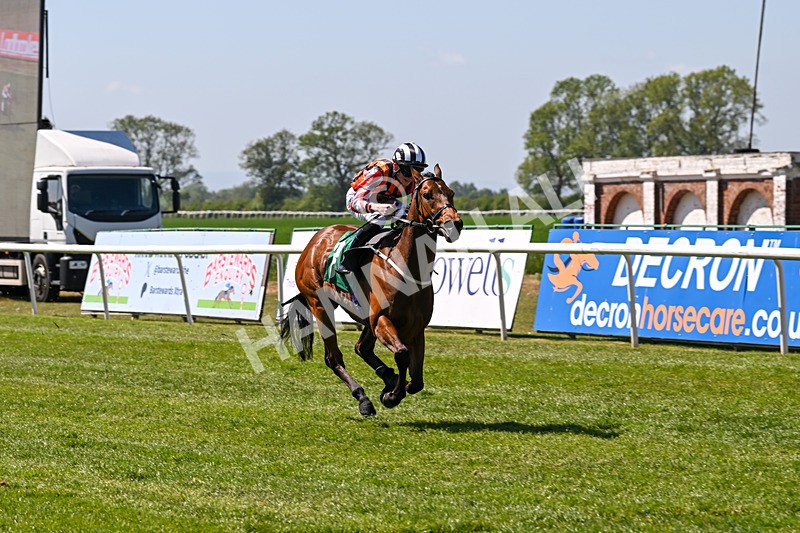 170525-Race 2-Kodiac Thriller-7989 - Race 2