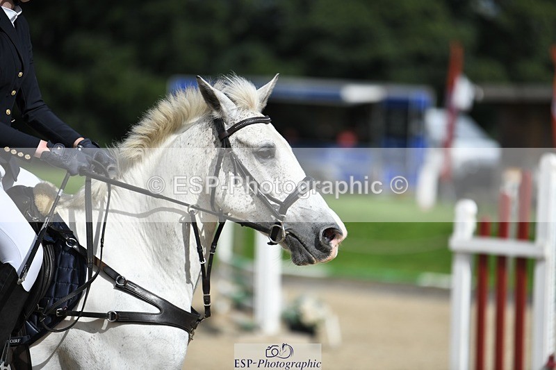 230820-101853-00198 - 80cm - Round 1