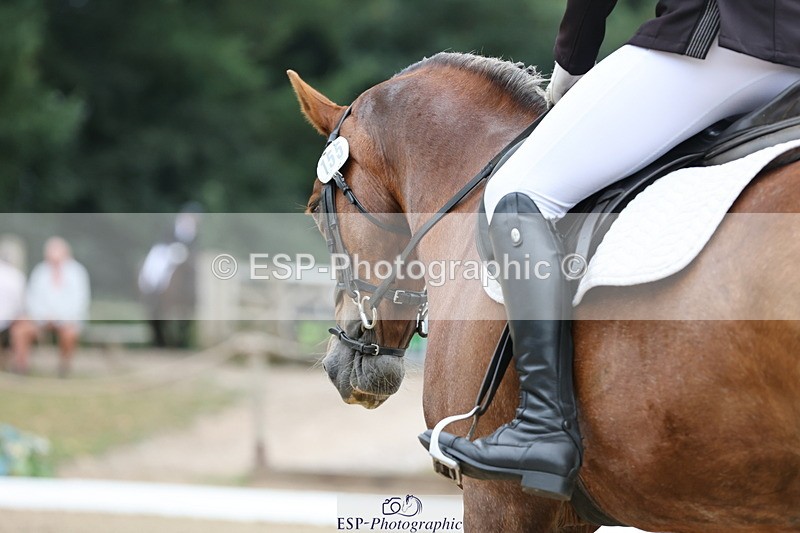 250718A-101954-00530 - 155-Charlotte.Radley-Brohedydd.Marian