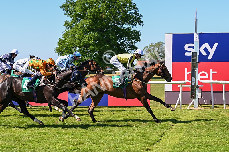 170525-Race 4-Hallelujah U-8331 - Race 4