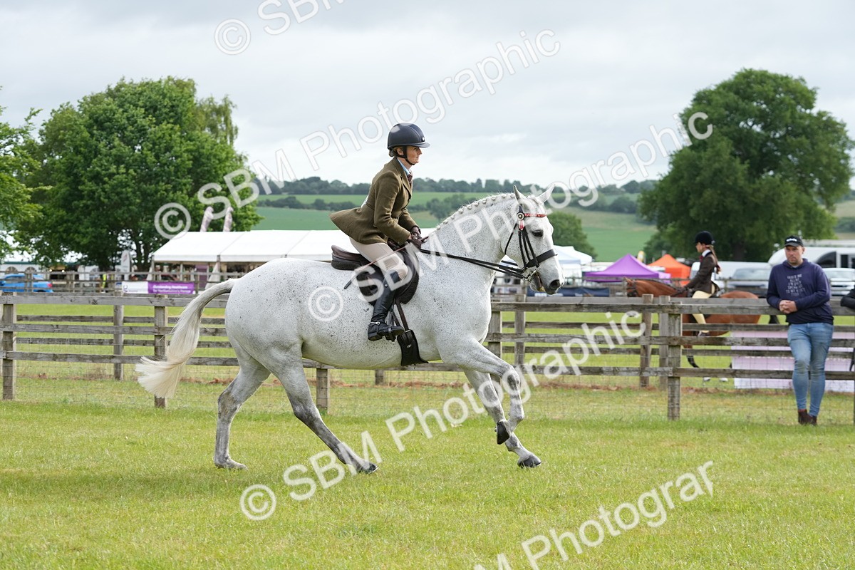 SBM_10603 - Class 97-98 - LIHS BSHA Rising Star Working Show Horse Hunter