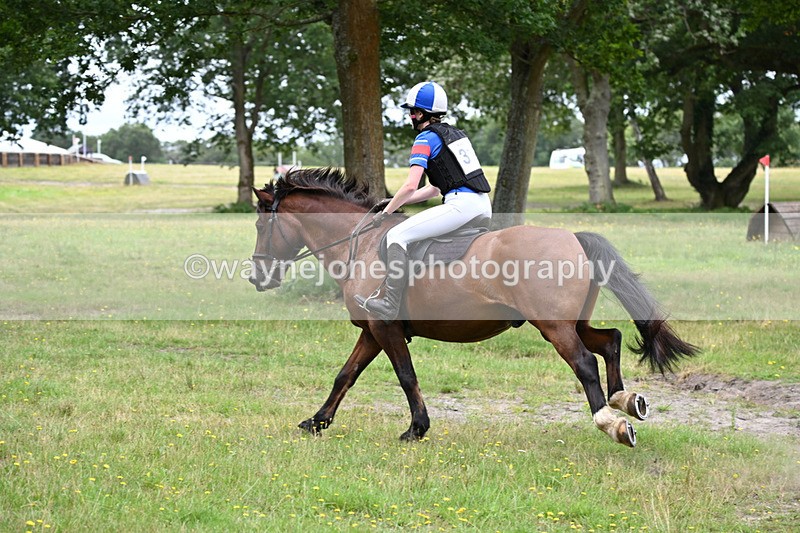 WJ6_0679 - Time 11:23 to 11:31