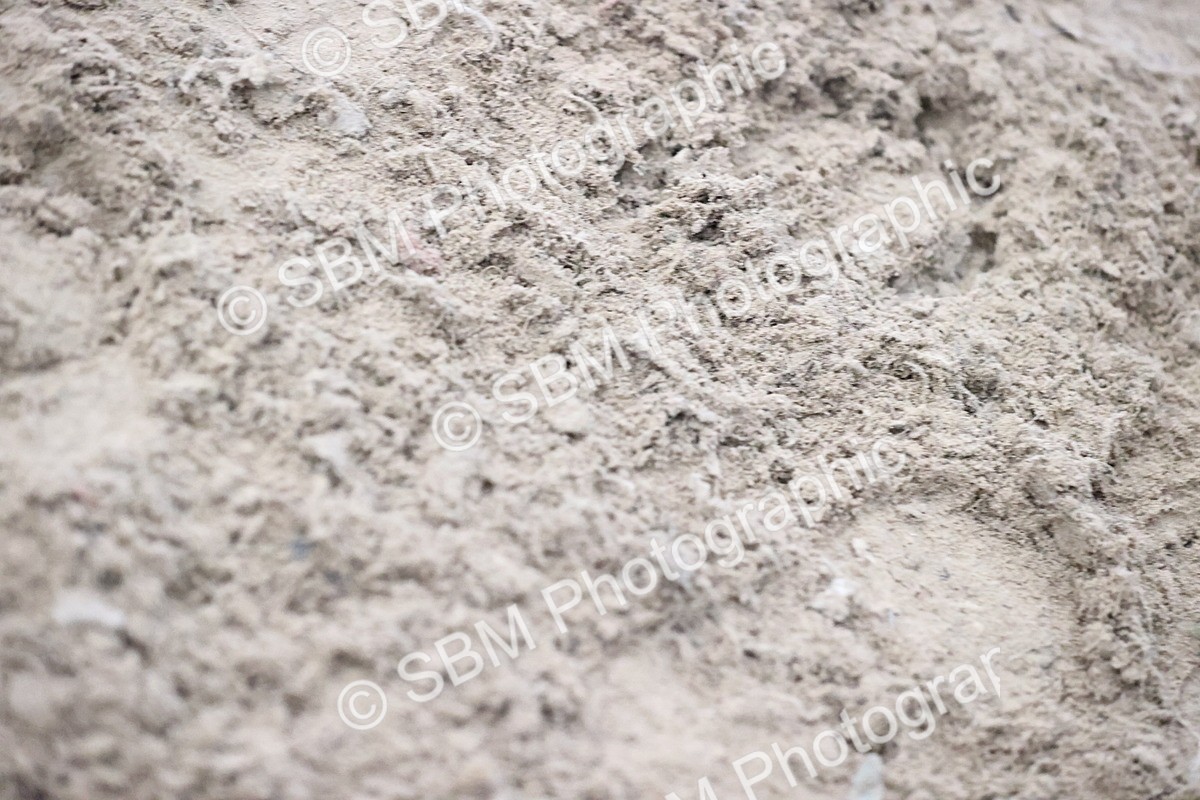 SBM_003342 - Class 16 - Junior 1.15m 1.20m Open