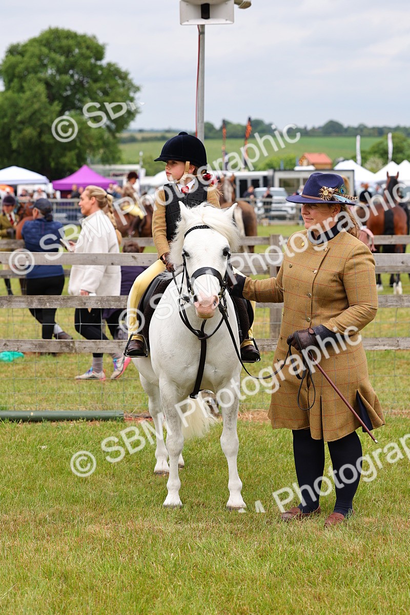SBM_08333 - Class 42-43 - LIHS BSPS Heritage Working Sports Pony