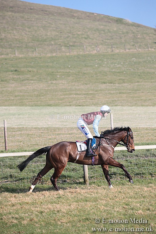 PtP 230219 263 - Vine & Craven Point-To-Point - Barbury 23/02/19