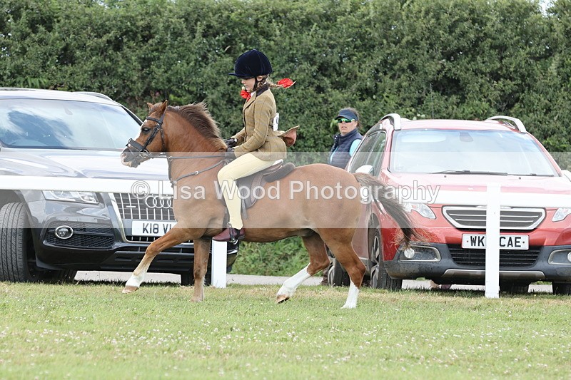 JPP_1920 - Class 18: Tiny Tots Working Hunter Pony