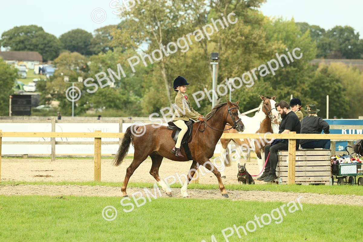 SBM_69878 - S59 - Mountain & Moorland Ridden Small Breeds
