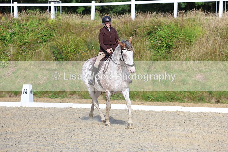 3E7A3316 - Class 2: Intro 1 2024 Section B