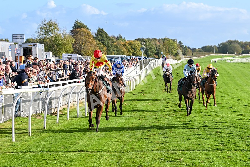 191024-Race 5-Vince Le Prince-4473 - Race 5