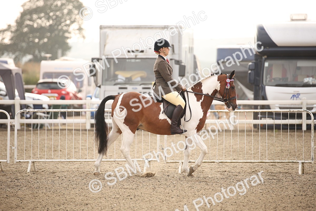SBM_09817 - Class 401 Riding Club Pony