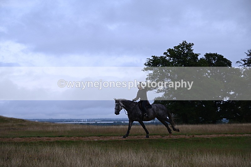 DSC_3700 - Time at Statue 13:51 to 14:55