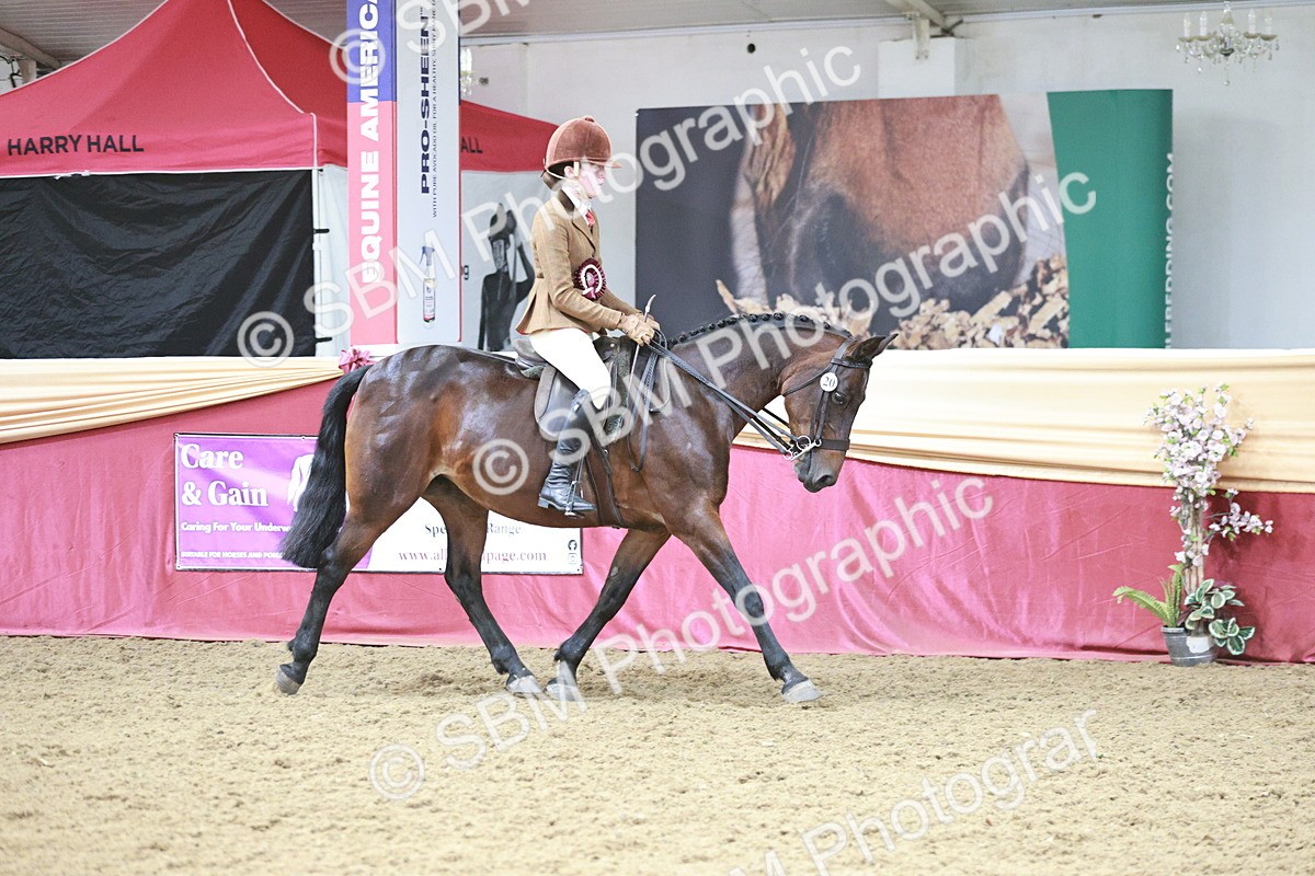 SBM_08637 - Regional Ridden Champ