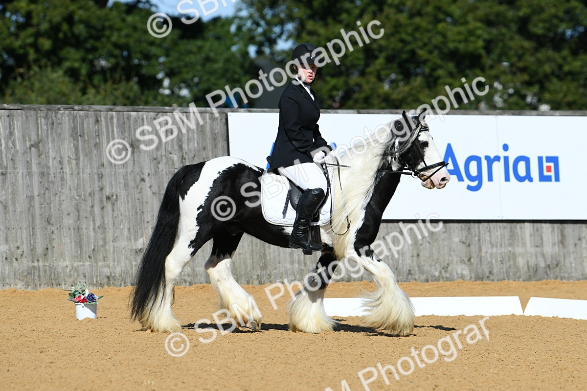 SBM_18062 - D4 - Small Tour Championship - Intro B