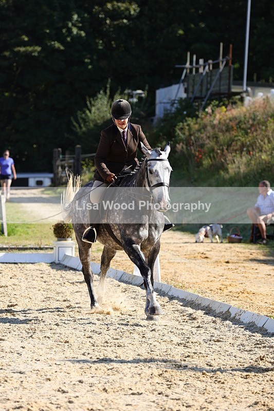 1X9A7674 - Class 8: Small Ridden Hunter