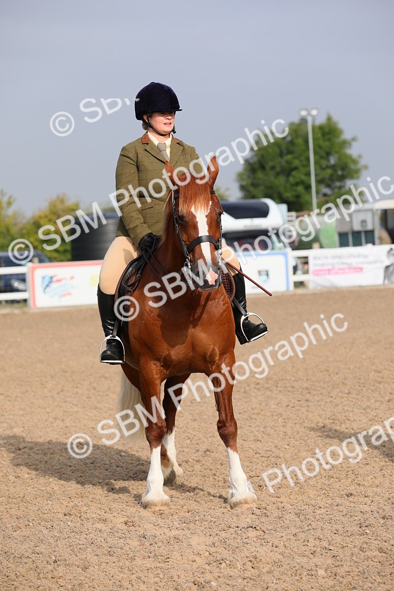 SBM_10133 - Class 302 Ridden M&M -Large Breeds