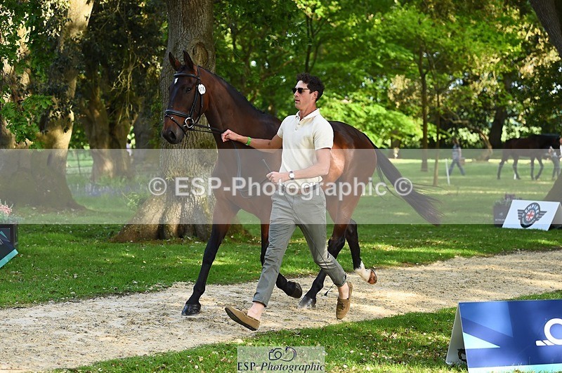 230524-171912-01431 - 176-TENZ-Will_Rawlin-WEDTrotUp+DR