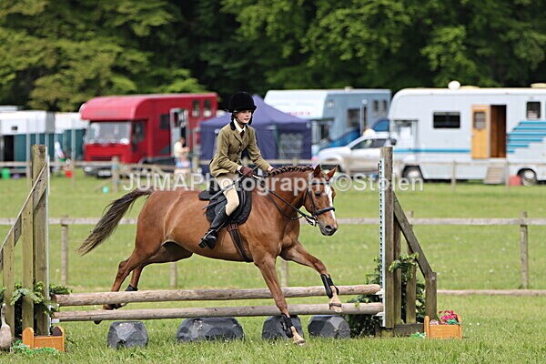 IMG_2996 - Working Hunter